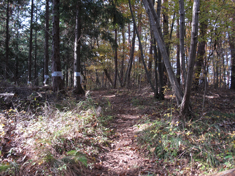 20161117hike (181)